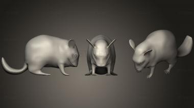 3D model Chinchilla (STL)